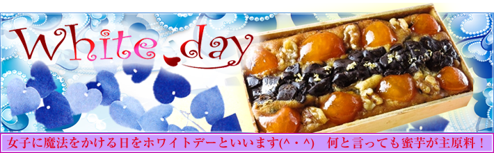 �ۥ磻�ȥǡ��ý�