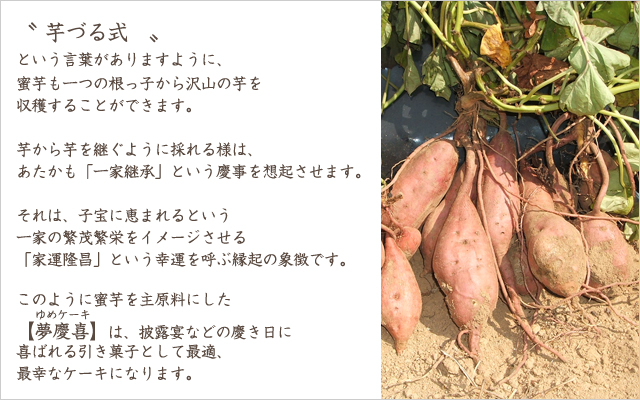 ��Ť뼰